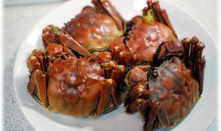 蟹不肉是什么意思