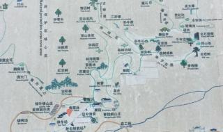 永春牛姆林 永春牛姆林