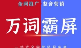 网站关键词优化软件