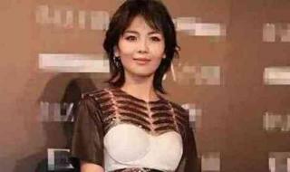 黛安芬哺乳文胸