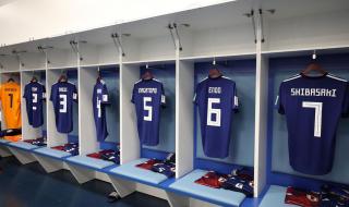 世界杯进球数排行