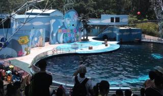 深圳动物园门票团购