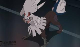 宠物小精灵太阳月亮