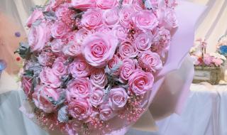 送妈妈什么花比较好