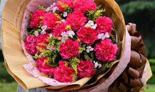 送妈妈什么花比较好