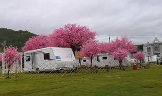 深圳露营地点推荐