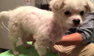 秋雨绵绵无绝期