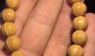 世界上最漂亮的鲨鱼