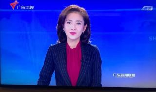 南方卫视今日最新闻