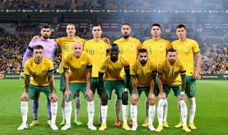 巴西世界杯巴西阵容