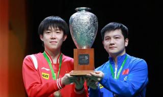 中国历届世乒赛战绩